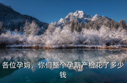 各位孕媽，你們整個孕期產檢花了多少錢