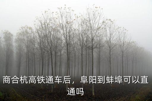蚌埠高鐵到南通高鐵多少,商合杭高鐵通車后