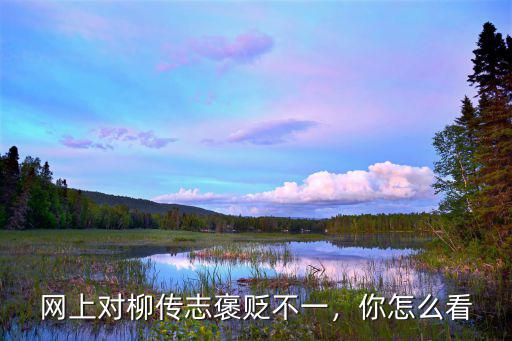 網上對柳傳志褒貶不一，你怎么看