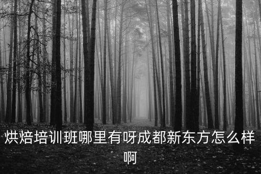 烘焙培訓班哪里有呀成都新東方怎么樣啊