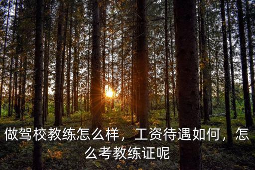 張家口駕校教練工資多少,駕校教練的工資有多高