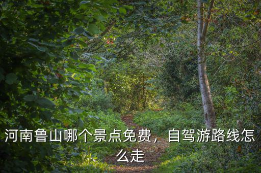 河南魯山哪個景點免費，自駕游路線怎么走