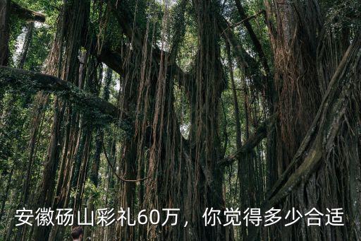 安徽碭山彩禮60萬，你覺得多少合適