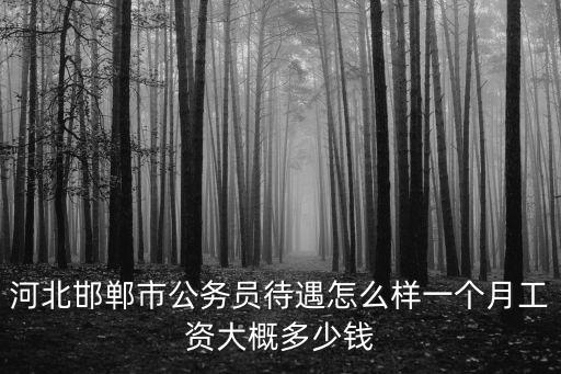 河北正科級公務員工資多少錢,一個月工資大概多少錢
