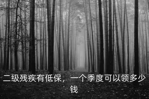 安徽省二級殘疾多少錢一個月,二級殘疾有低保