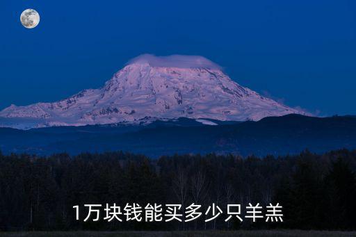 安徽蕭縣50只母羊要多少錢,1萬塊錢能買多少只羊羔