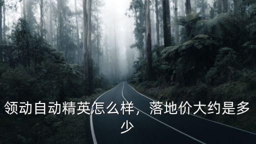 領動自動精英怎么樣，落地價大約是多少