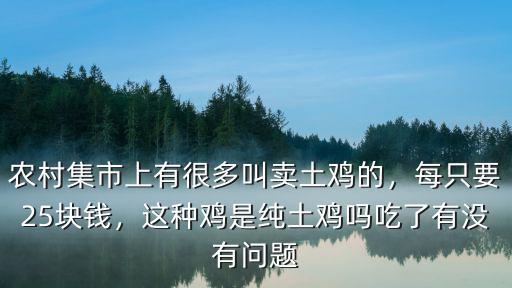 安慶太湖純土雞多少錢一只,網購一只土雞大概要多少錢