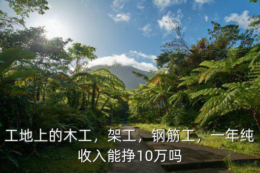 工地上的木工，架工，鋼筋工，一年純收入能掙10萬嗎
