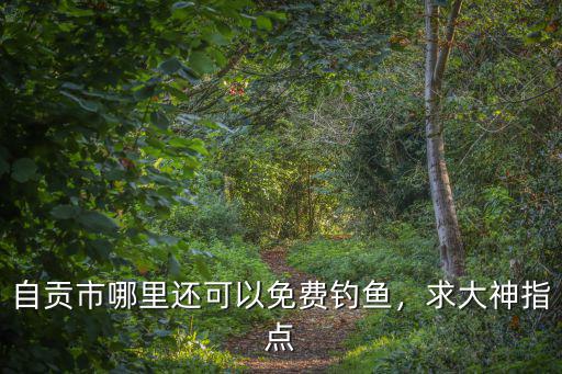 自貢北環路路哪里可以釣魚,四川自貢哪里值得自駕游