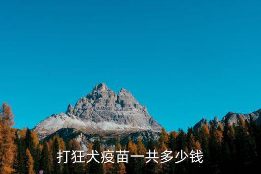 打狂犬疫苗一共多少錢