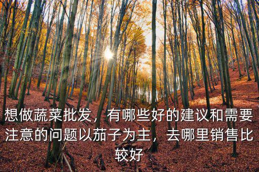想做蔬菜批發，有哪些好的建議和需要注意的問題以茄子為主，去哪里銷售比較好