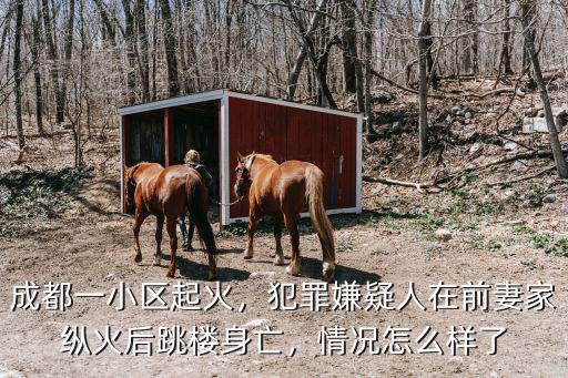 成都一小區起火，犯罪嫌疑人在前妻家縱火后跳樓身亡，情況怎么樣了