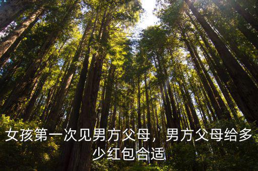 合肥第一次見男方家長給多少紅包,男方父母給多少紅包合適