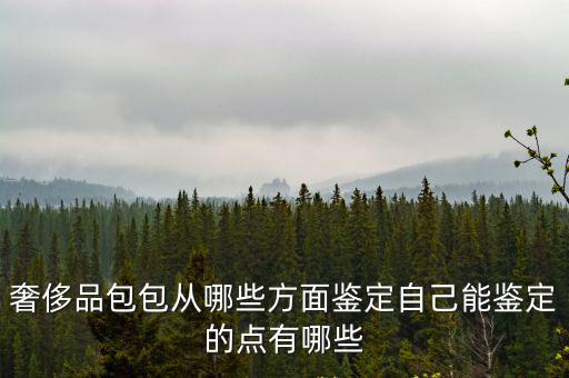 南充哪里有鑒定品牌包包,奢侈品包包從哪些方面鑒定