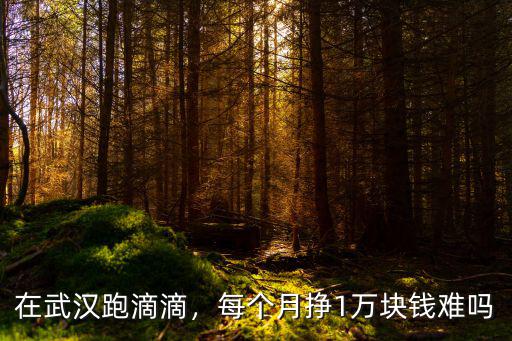 在武漢跑滴滴，每個月掙1萬塊錢難嗎