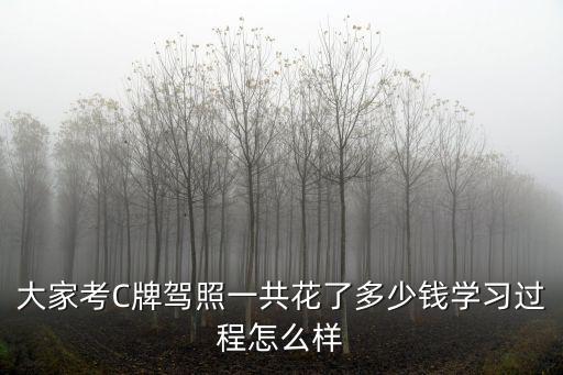 大家考C牌駕照一共花了多少錢學習過程怎么樣