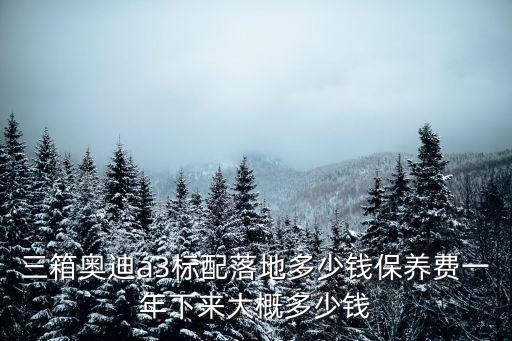 安慶奧迪a3落地多少錢,分期的話大概多少錢