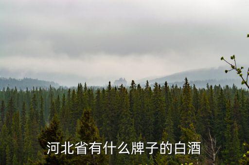 河北省有什么牌子的白酒