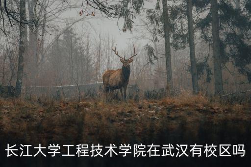 長江大學(xué)工程技術(shù)學(xué)院在武漢有校區(qū)嗎