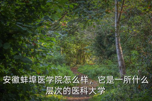 安徽蚌埠醫(yī)學院怎么樣，它是一所什么層次的醫(yī)科大學