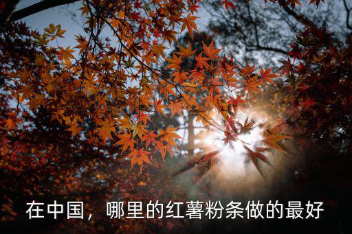 成都哪里有批發紅薯粉條,純紅薯粉條有哪些主產區