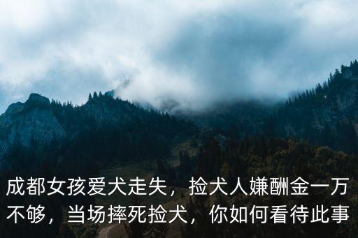 成都哪里可以撿到小狗,成都哪里可以領(lǐng)養(yǎng)寵物
