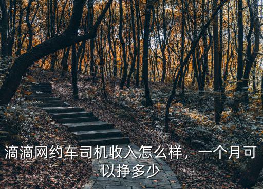 滴滴網(wǎng)約車司機收入怎么樣，一個月可以掙多少
