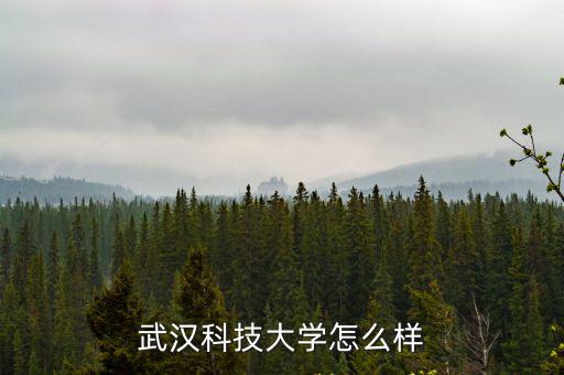 武漢康塔醫(yī)療科技怎么樣,武漢科技大學(xué)怎么樣