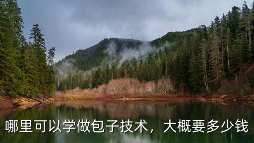哪里可以學做包子技術，大概要多少錢