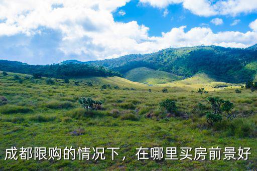 成都限購(gòu)的情況下，在哪里買(mǎi)房前景好
