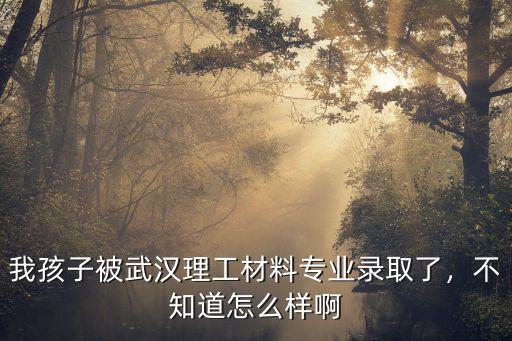 我孩子被武漢理工材料專業(yè)錄取了，不知道怎么樣啊