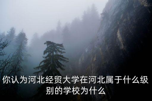 你認為河北經貿大學在河北屬于什么級別的學校為什么