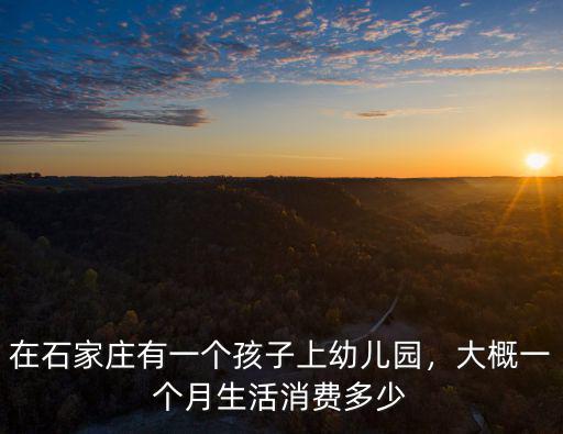 在石家莊有一個孩子上幼兒園，大概一個月生活消費多少