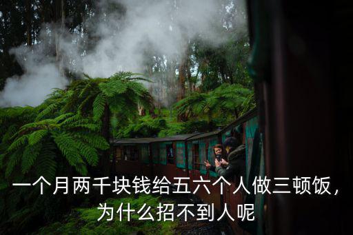 合肥做飯阿姨多少錢一個月,做飯干家務多少錢