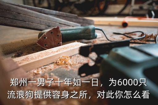 鄭州哪里有流浪狗收留站,鄭州大學的網紅流浪狗