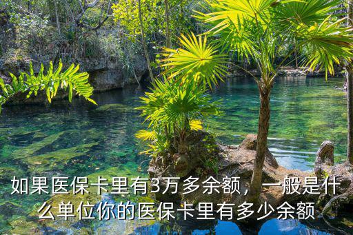 衡水醫保卡的余額是多少,你的醫保卡里有多少余額