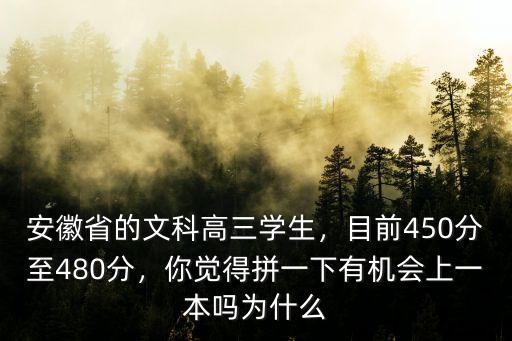 安徽一本分?jǐn)?shù)線多少文科,安徽文科生多少分能上985