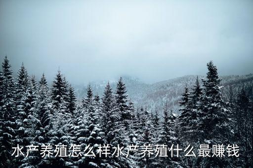 武漢銀豐現(xiàn)代水產(chǎn)養(yǎng)殖怎么樣,水產(chǎn)養(yǎng)殖怎么樣