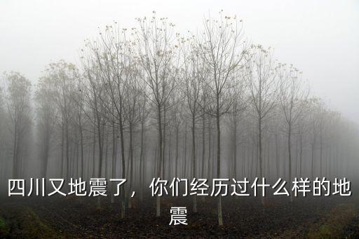 四川又地震了，你們經(jīng)歷過(guò)什么樣的地震