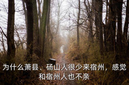 蕭縣到宿州多少遠,宿州下轄縣不親近宿州