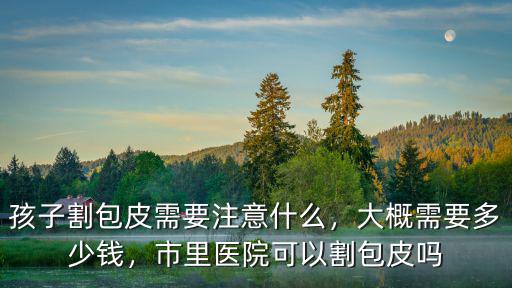 孩子割包皮需要注意什么，大概需要多少錢，市里醫(yī)院可以割包皮嗎