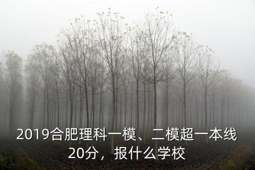2019合肥理科一模、二模超一本線20分，報什么學校