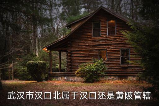武漢漢口北跨越速運怎么樣,武漢漢口北的發展怎么樣