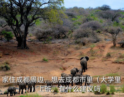 家住成都周邊，想去成都市里（大學里，）上班，有什么建議嗎