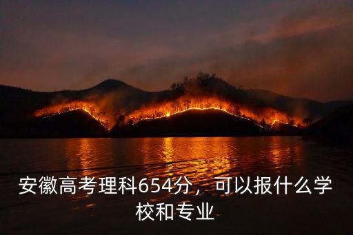 安徽高考理科654分，可以報什么學校和專業