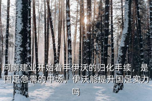 伊沃怎么來的河南建業,如何評價河南建業的伊沃