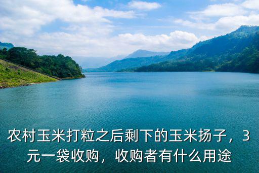 農村玉米打粒之后剩下的玉米揚子，3元一袋收購，收購者有什么用途