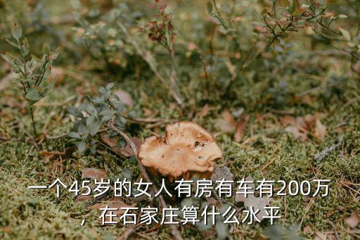 在石家莊有多少個億,在石家莊算什么水平