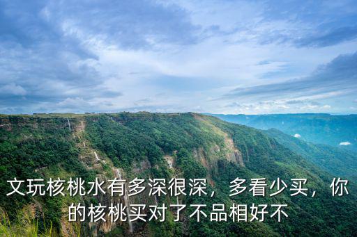 樂山哪里買文玩核桃,上哪兒買文玩核桃才靠譜